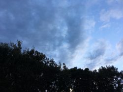 今週の1枚 「the SKY on 22 October 2018 at 16:59」 ～ 木曜日のランチNAMBAN