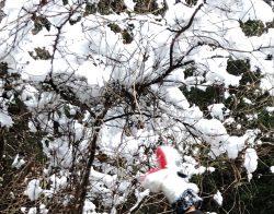 雪♪～in豊後大野