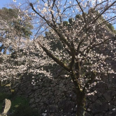 延岡城跡・城山公園