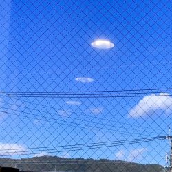 今週の1枚 「UFO?」 ～ 木曜日のランチNAMBAN